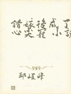 错嫁后成了总裁心尖宠 小说