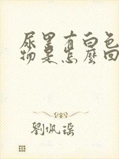 尿里有白色沉淀物是怎么回事