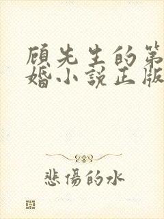 顾先生的第一宠婚小说正版