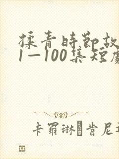 揉青时节故人归1—100集短剧免费看