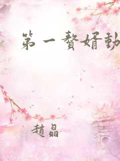 第一赘婿动画