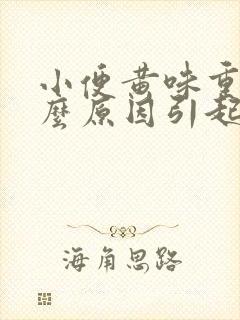 小便黄味重是什么原因引起的