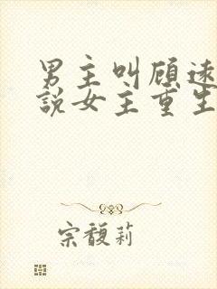 男主叫顾远的小说女主重生