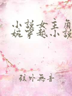 小说女主角叫苏婉穿越小说现代文
