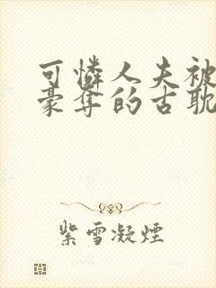 可怜人夫被强取豪夺的古耽双男主小说