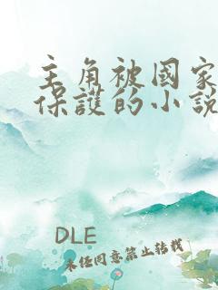 主角被国家严密保护的小说