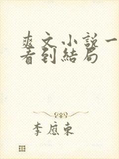 爽文小说一口气看到结局