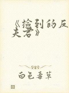 《捡到的反派成夫君》