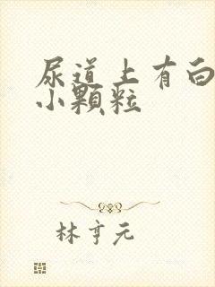 尿道上有白色的小颗粒