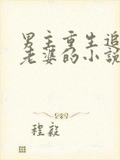 男主重生追前世老婆的小说