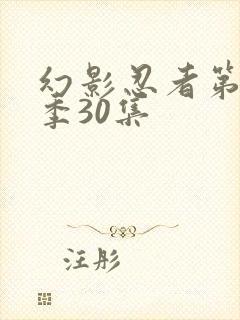 幻影忍者第11季30集