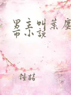 男主叫叶尘的都市小说