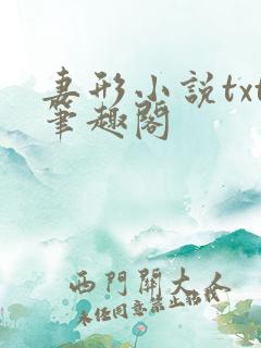 妻形小说txt笔趣阁