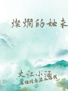 灿烂的她未删减