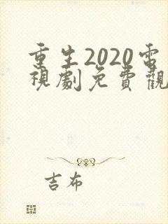 重生2020电视剧免费观看全集