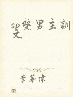 sp双男主训诫文