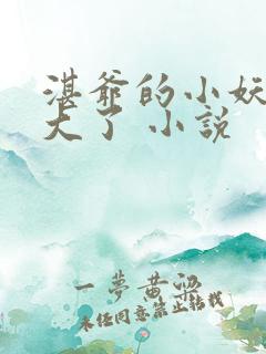 湛爷的小妖精长大了 小说