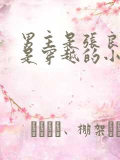 男主是张良女主是穿越的小说