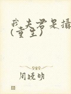 我夫君是摄政王(重生)