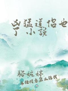 凶猛道侣也重生了 小说