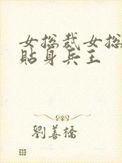 女总裁女总裁的贴身兵王