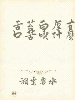 舌苔白厚有齿痕口苦吃什么药