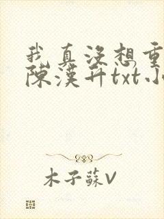 我真没想重生啊陈汉升txt小说下载