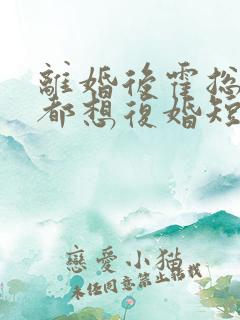 离婚后霍总每天都想复婚短剧免费