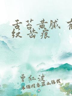 舌苔黄腻 有裂纹 齿痕