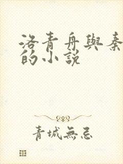 洛青舟与秦蒹葭的小说