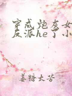 穿成炮灰女配和反派he了小说