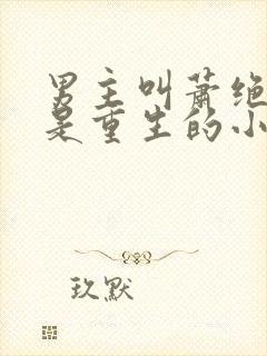 男主叫萧绝女主是重生的小说