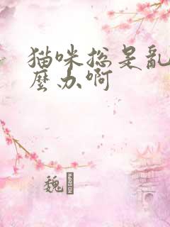 猫咪总是乱尿怎么办啊