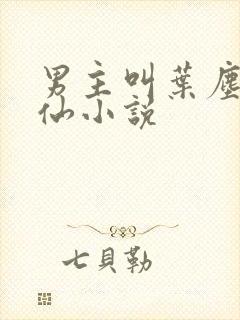 男主叫叶尘的修仙小说