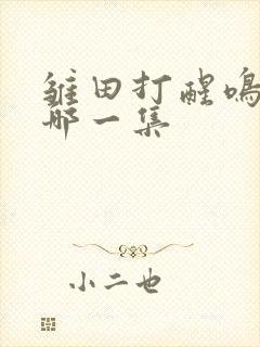 雏田打醒鸣人是哪一集