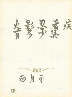 火影忍者疾风传有多少集