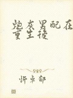 炮灰男配在末世重生后