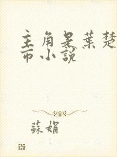 主角是叶楚的都市小说