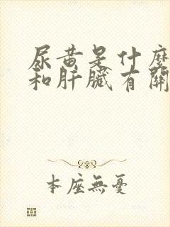 尿黄是什么原因和肝脏有关系吗