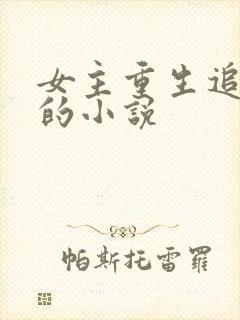 女主重生追男主的小说