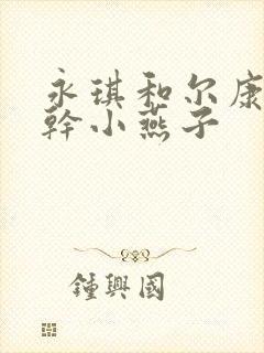 永琪和尔康一起干小燕子