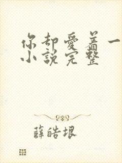 你却爱着一个他小说完整