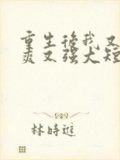 重生后我又飒又爽又强大短剧免费观看