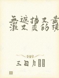 无遮挡又黄又刺激又爽的视频