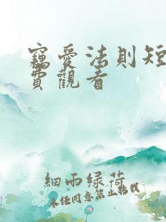 窃爱法则短剧免费观看