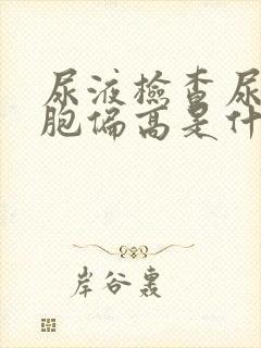 尿液检查尿白细胞偏高是什么原因