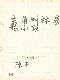 主角叫林尘的穿越小说