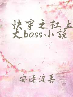 快穿之杠上反派大boss小说