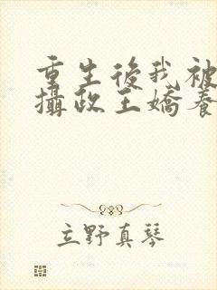 重生后我被反派摄政王娇养了免费阅读