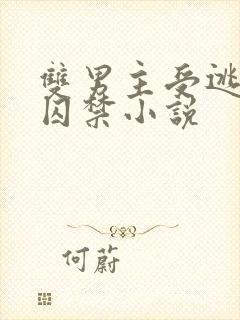 双男主受逃跑被囚禁小说